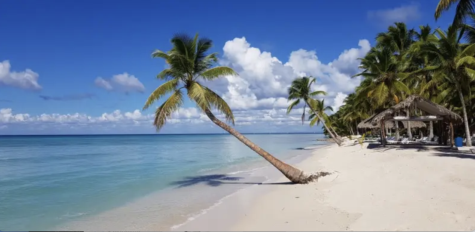 mare, palme, paradiso, santo domingo